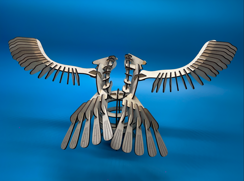 Wings of the World